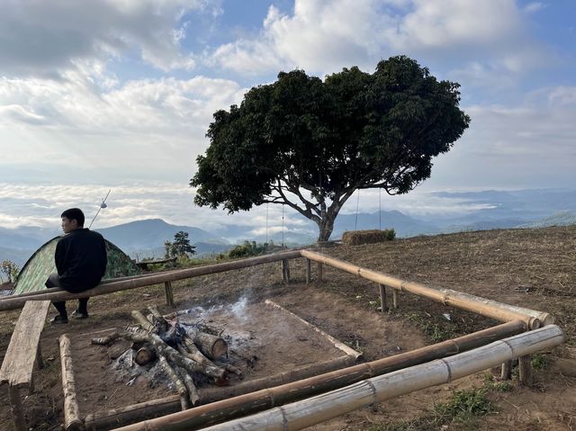ลานกางเต้นท์ ยาป่ายาใจ 🏕️🌳@ดอยแหลม