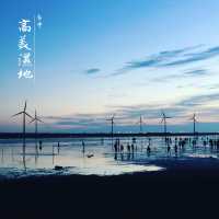 高美濕地-美得令人感動既自然風光