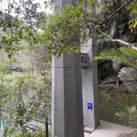 小烏來天空步道，天空繩橋，義興吊橋