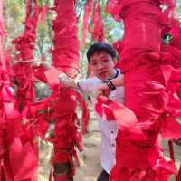 เขาคิชกุฏ 2566
