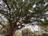 九龍城廣場旁邊嘅賈炳達道公園