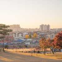 수원 방화수류정 근처에 있는 억새포토존 🌾✨