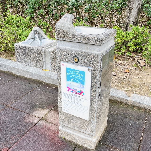 免費嘅放電好去處 @ 九龍灣公園