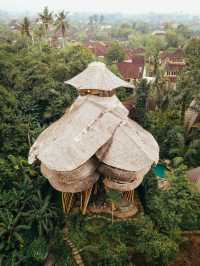 Bali | the biggest bamboo house on the island
