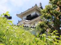 【静岡県】東海の名城！掛川城をご紹介