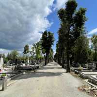 Why visiting a historical cemetery?