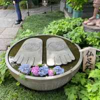 鐮倉與江之島一日遊