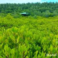 ทริประยอง ฉบับ Slow life