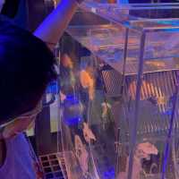 海洋主題兒童樂園🎉！欣賞水族館