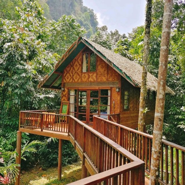 Amazing our jungle house 