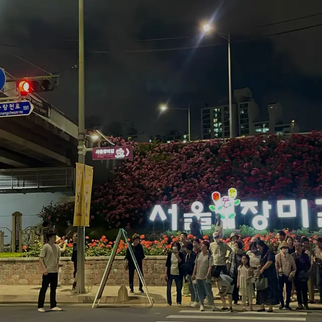 백만송이의 장미를 볼 수 있는 곳 “서울장미길”🥀