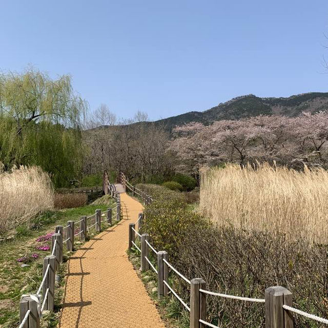 사진 작가들이 뽑은 국내의 아름다운 사진 명소, 진해내수면환경생태공원