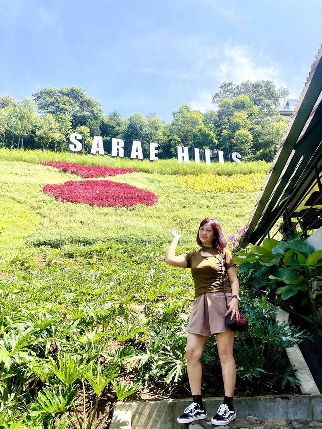 Sarae Hills: World of Wonders🗽🗼