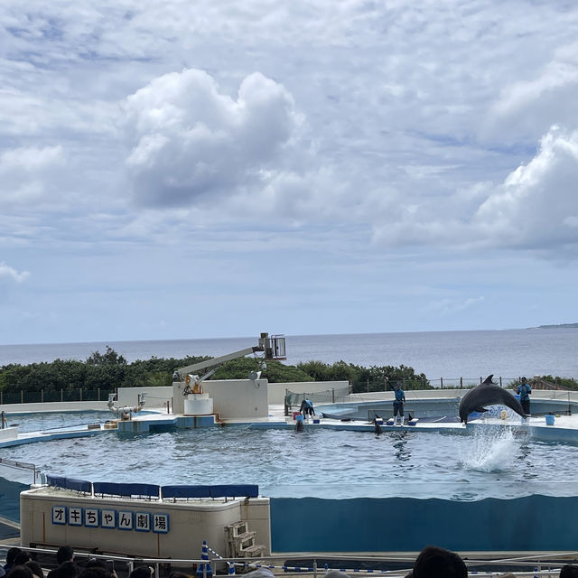 如果沒來過美麗海水族館就等於沒來過沖繩