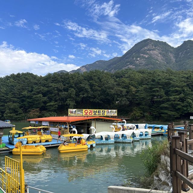 자연에 취하고 싶다면 ⭐️포천⭐️으로