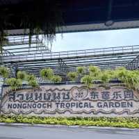 歡樂激情🎢🏖️ 東芭樂園