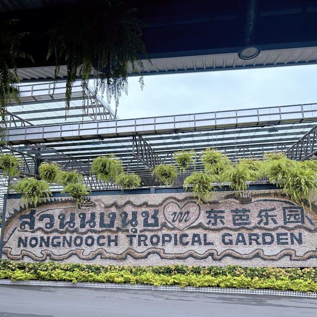 歡樂激情🎢🏖️ 東芭樂園