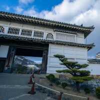 Himeiji Castle 