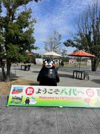 一定非常適合拍照打卡的熊本熊港八代