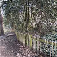 倫敦荷蘭公園：城市中的世外桃源
