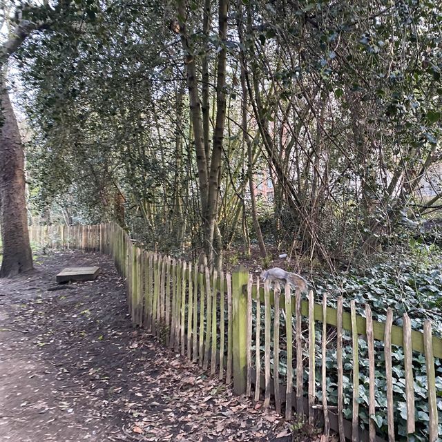 倫敦荷蘭公園：城市中的世外桃源