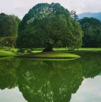 EXPLORING THE OLDEST GARDEN IN MALAYSIA