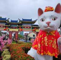 A famous Cat City in Malaysia 