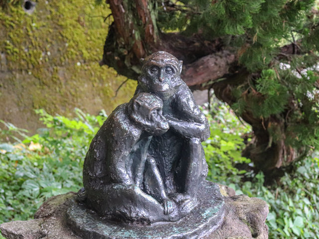 【大分県】 ニホンザルの聖地「高崎山自然動物園」🐒