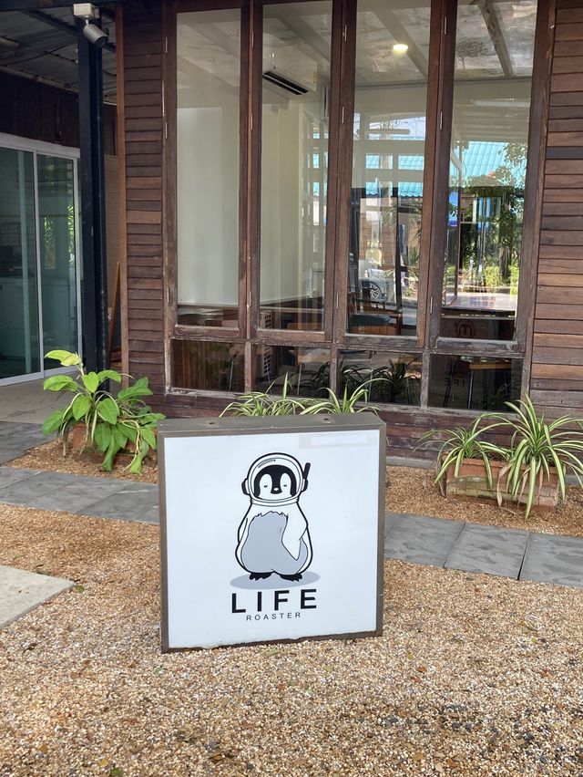 🐧𝐋𝐢𝐟𝐞 𝐑𝐨𝐚𝐬𝐭𝐞𝐫𝐬☕️