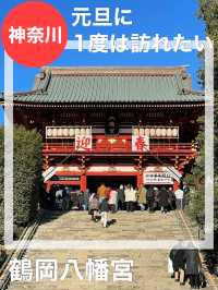 【神奈川県/鶴岡八幡宮】元旦に1度は訪れたい