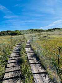 【山形県/御田原神社】2023年行ってよかった！山形県の神社⑦