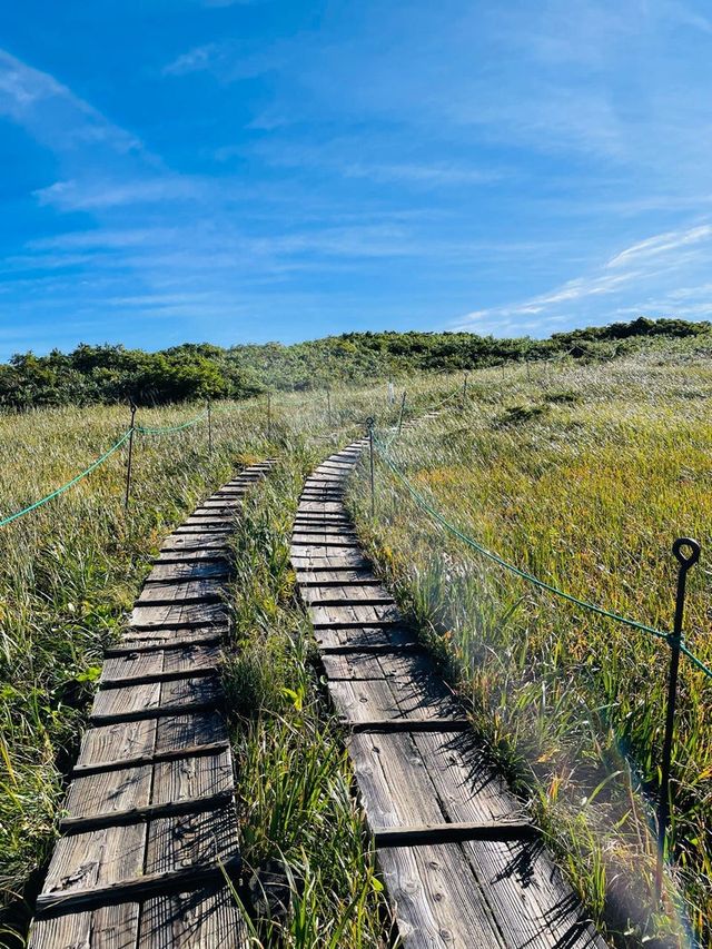 【山形県/御田原神社】2023年行ってよかった！山形県の神社⑦