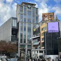 ✨ 도쿄의 명품거리 + 호화로운 부자동네, 아오야마에서 산책을 ✨