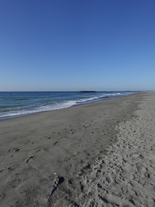 【静岡(浜松)】絶景までが大変💦でも行く価値はある！日本三大砂丘の一つ、中田島砂丘