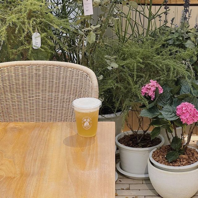 Firstdatefarm：浪漫花園咖啡店，咖啡香氣濃鬱