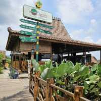 Enjoy a coffee with paddy field view