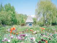 【北海道旭川】まるでジブリの世界？ドラマチックなガーデン🌱💐🌷上野ファーム