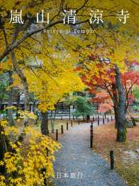 京都景點｜嵐山免費的賞楓地——清涼寺