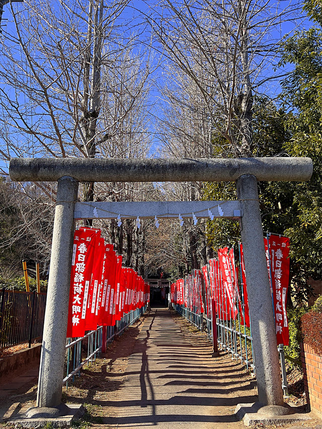 【春日部オススメ神社】　春日部八幡神社