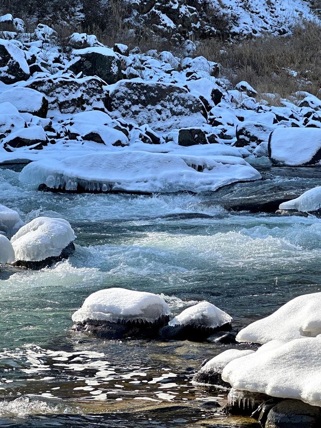 강원도 철원 한탄강 물윗길 얼음트레킹❄️