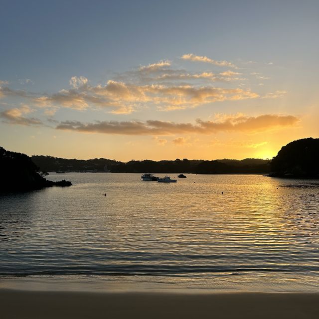 野生のキウイやオーロラが見れる！？ニュージーランド最南端の島🇳🇿