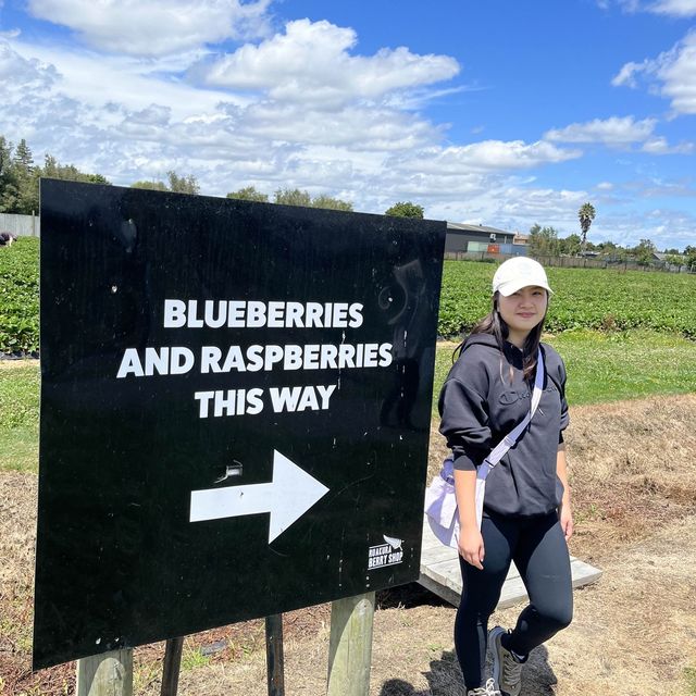 Ruakura Berry Exciting Day 