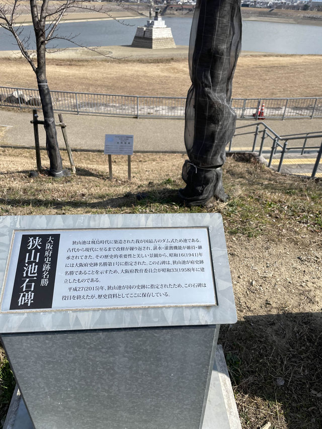 【大阪府】辰年に行ってみたい「龍神社」