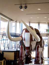 象だらけのテラス？！みなとみらいの絶景が望める穴場カフェ🐘