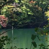 ชมมรดกโลกทางธรรมชาติที่ Lake Juniko