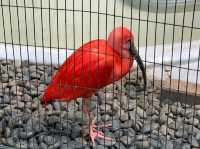 Edogawa City Nature Zoo