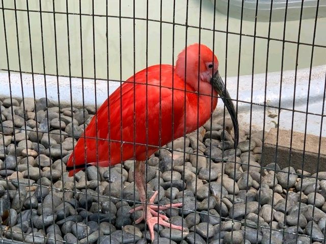 Edogawa City Nature Zoo