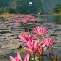Ninh Bình Tam Coc Mua Cave Full Day 