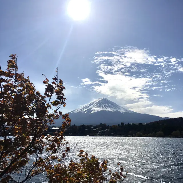 跑看世界級美景「富士山國際馬拉松」🏃‍♀️🏃