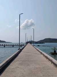ดำน้ำดูปลาการ์ตูน @เกาะแสมสาร